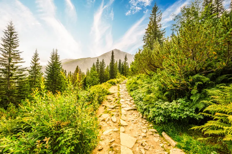 Sentier de randonn&eacute;e dans les montagnes des Tatras avec vue panoramique